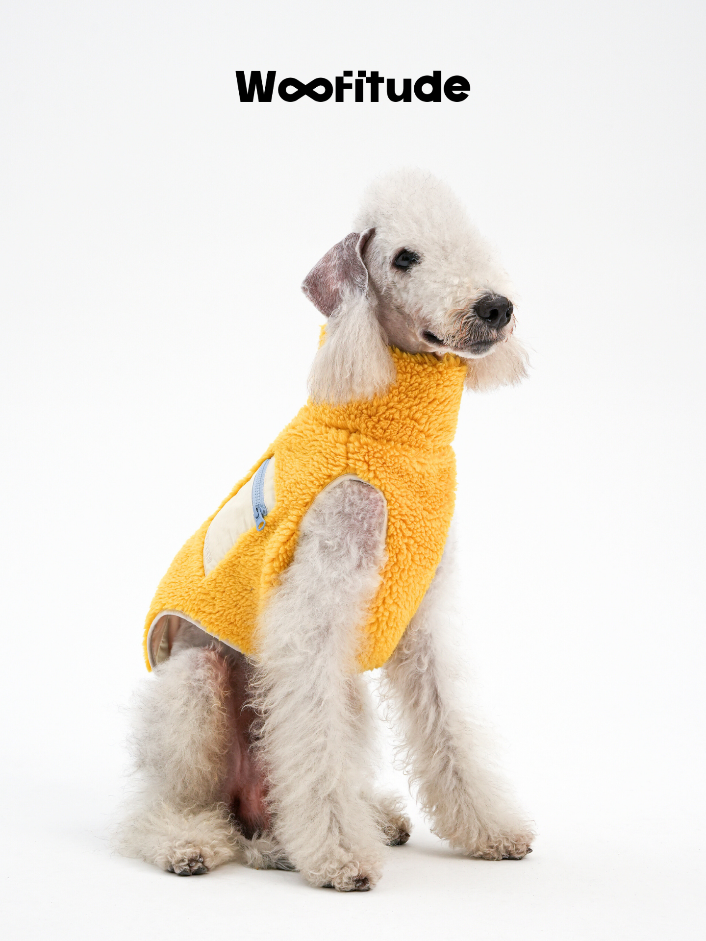 Bedlington Terrier wearing a yellow lamb fleece dog vest with fluffy texture and easy everyday style.