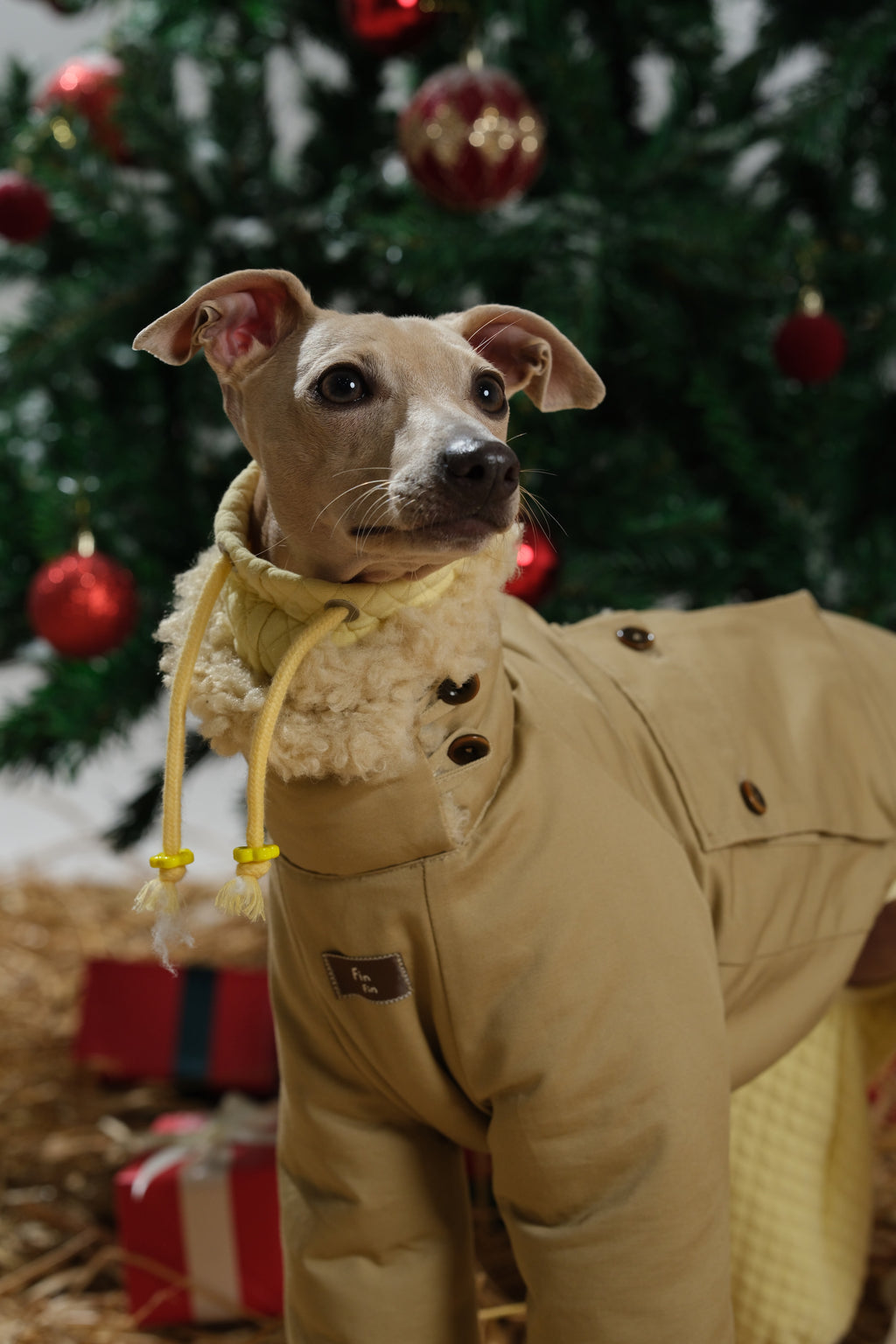 Front view of a dog wearing a reversible dog jacket with wool-blend fleece lining, emphasizing warmth around the neck and chest.