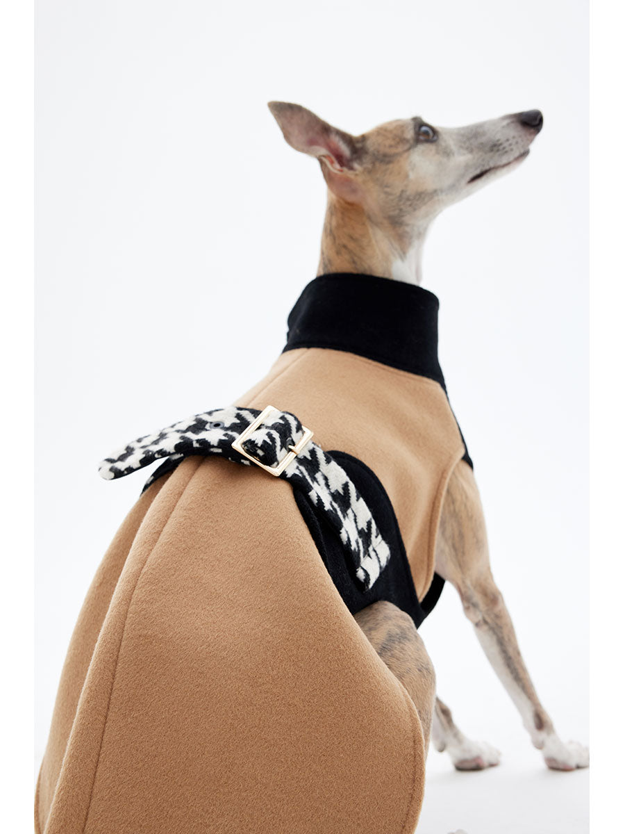 Back detail of a sleeveless wool dog coat featuring a contrasting strap design