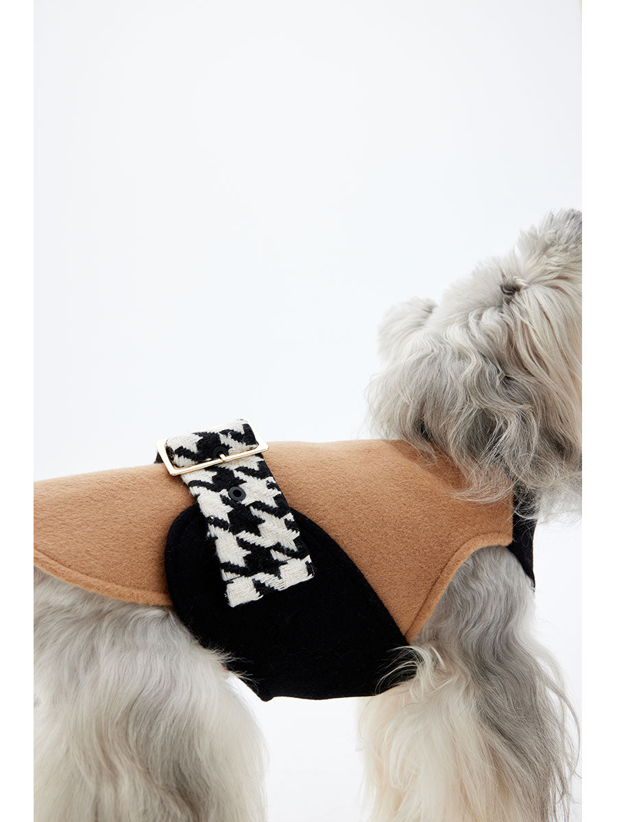 Close-up of a small dog wearing a sleeveless wool dog coat, showing the back strap detail and textured fabric