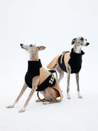 Two whippets wearing sleeveless wool dog coats, shown in sitting and standing positions