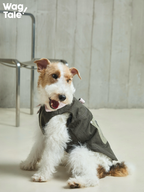 A terrier sitting in a workwear-inspired utility dog vest with a structured fit, showing the side pocket panel and zipper detailing designed for urban outdoor wear.