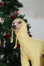 Close-up of a dog wearing a quilted dog jumpsuit with adjustable neck drawstring detail