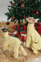 Two dogs in quilted winter dog jumpsuits looking upward together in a festive scene.