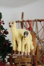 Two dogs in matching quilted dog jumpsuits standing together on a wooden chair