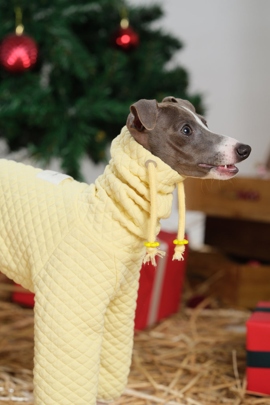 Side view of a dog wearing a quilted dog jumpsuit highlighting the textured fabric surface.
